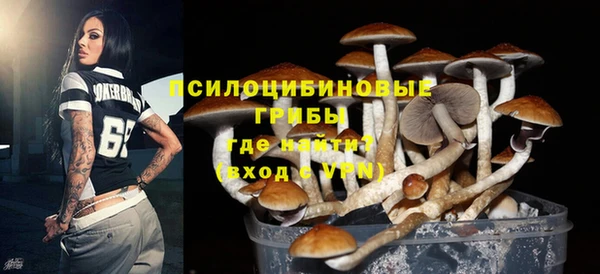 скорость Мегион