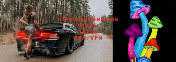 гидропоника Балабаново