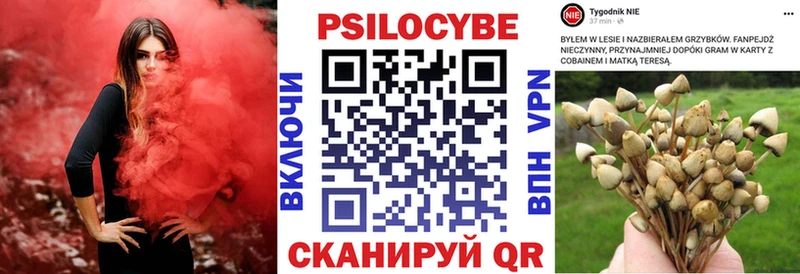 Галлюциногенные грибы Psilocybe  Новая Ляля 